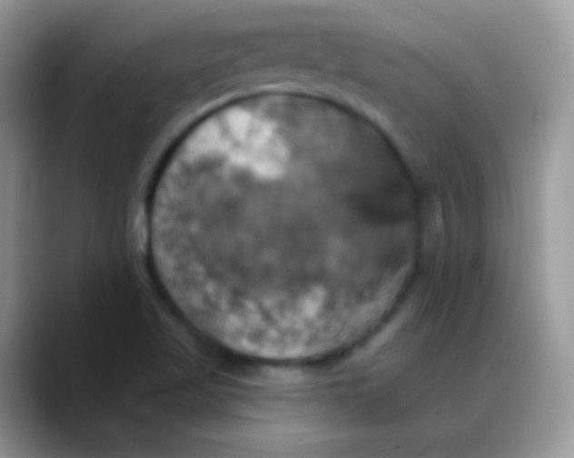 X0000088201509200705292022