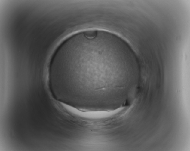 X0000088201511200705292022