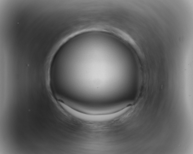 X0000088201512200705292022