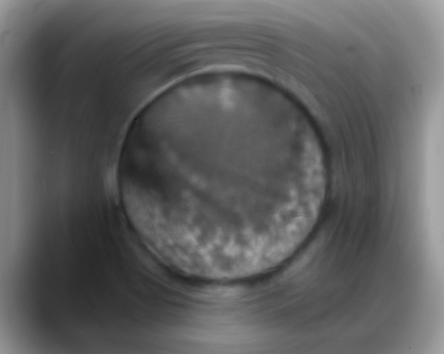 X0000088201513200705292022