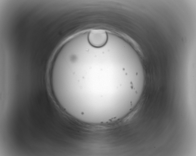 X0000088201514200705292022