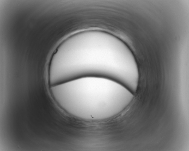 X0000088201516200705292022