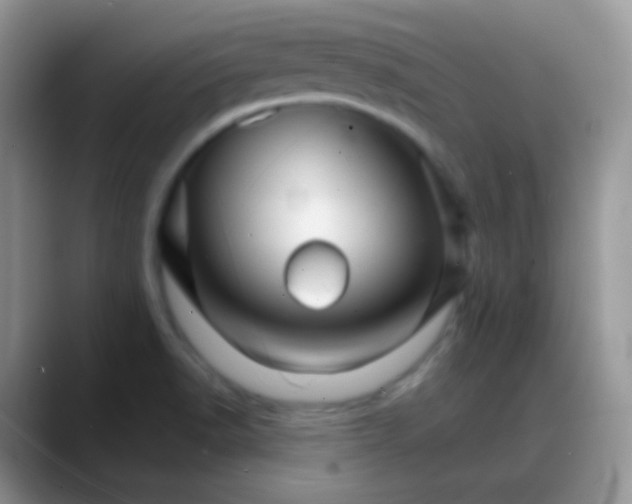 X0000088201518200705292022