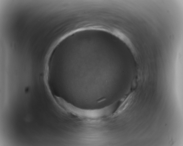 X0000088201520200705292022