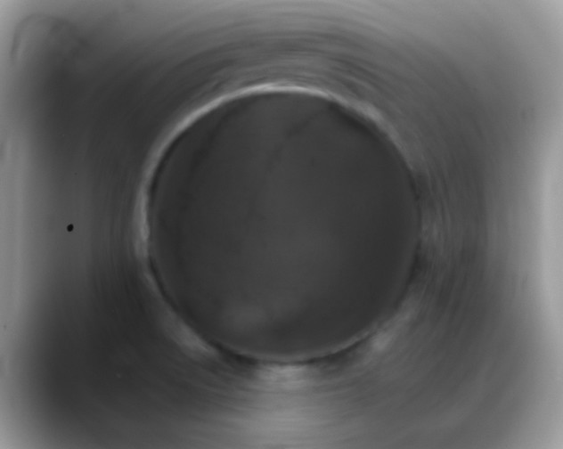 X0000088201522200705292022