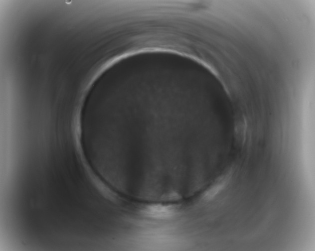 X0000088201523200705292022
