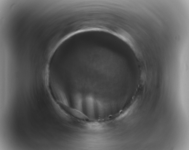 X0000088201524200705292022