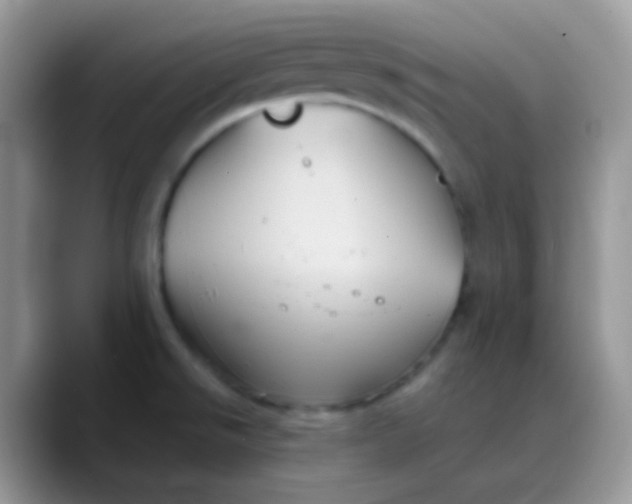 X0000088201526200705292022