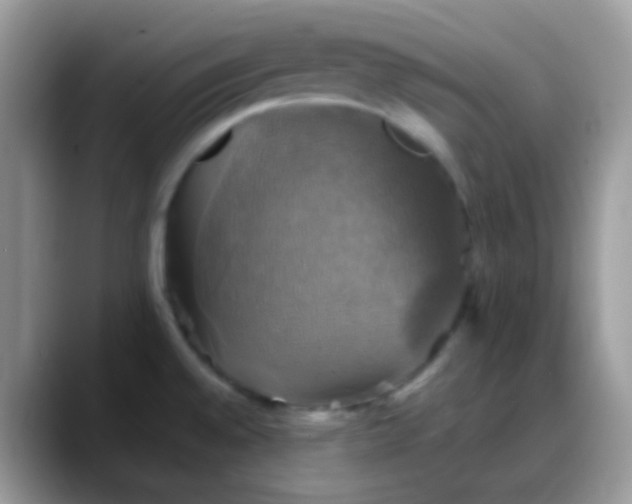 X0000088201528200705292022