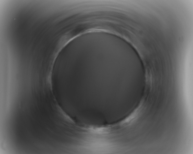 X0000088201529200705292022