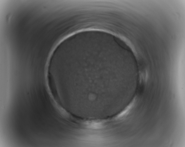 X0000088201530200705292022