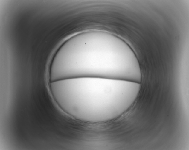 X0000088201531200705292022