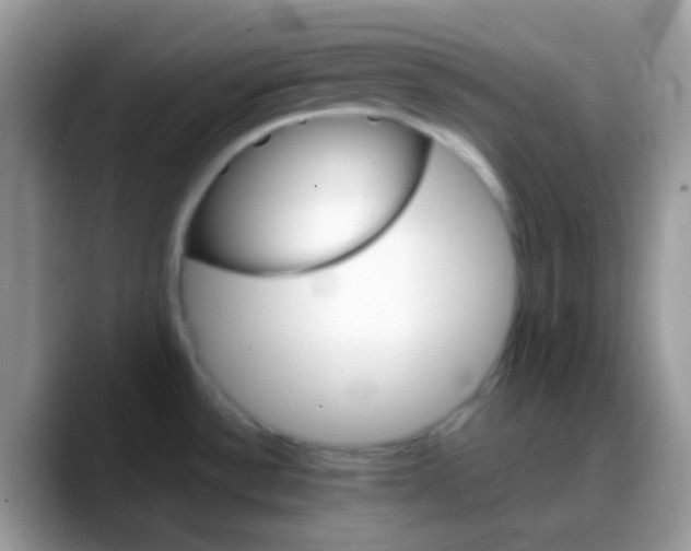X0000088201532200705292022