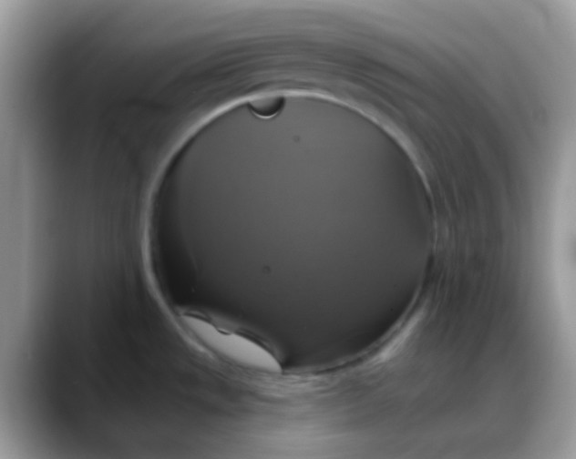 X0000088201533200705292022