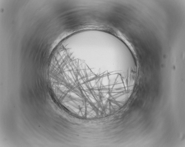 X0000088200011200706051243
