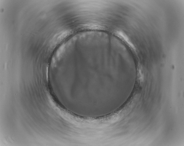 X0000088200014200706051243