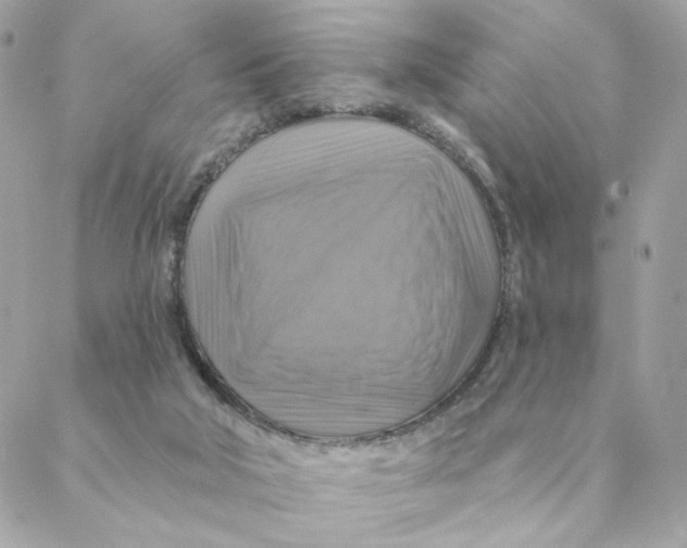 X0000088200018200706051243