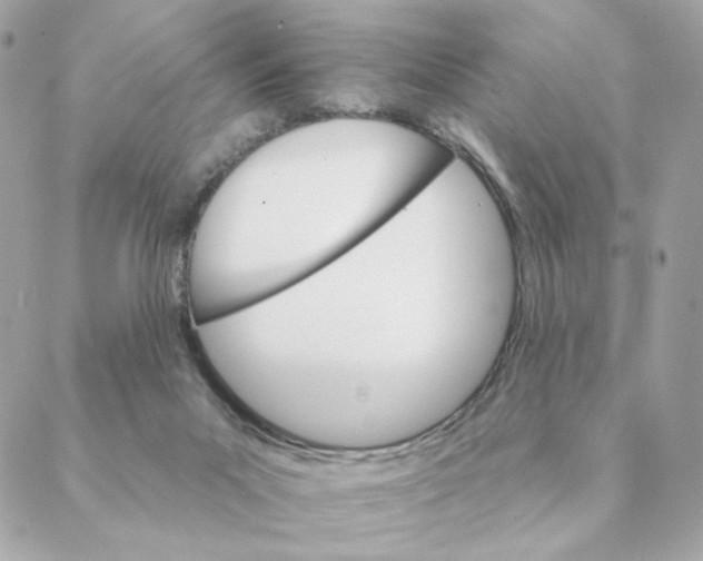 X0000088200023200706051243