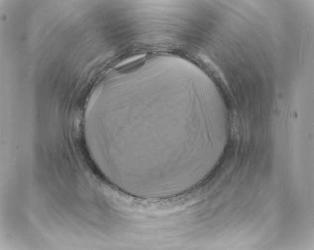 X0000088200026200706051243
