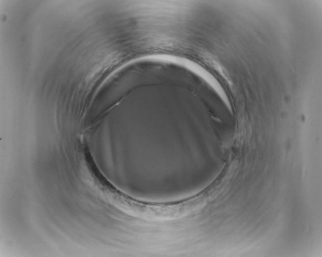 X0000088200027200706051243