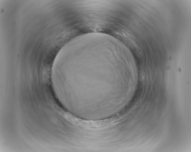 X0000088200030200706051243
