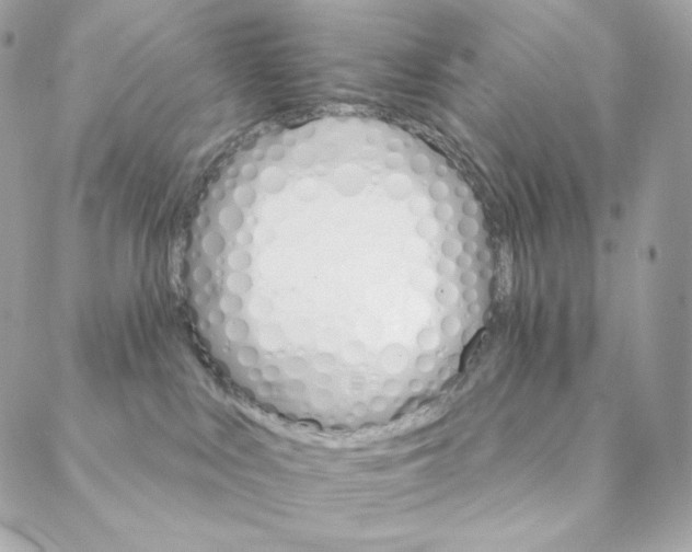 X0000088200043200706051243