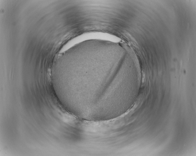 X0000088200045200706051243