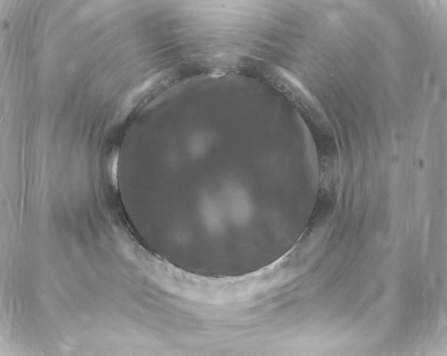 X0000088200047200706051243
