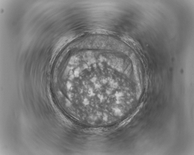 X0000088200049200706051242