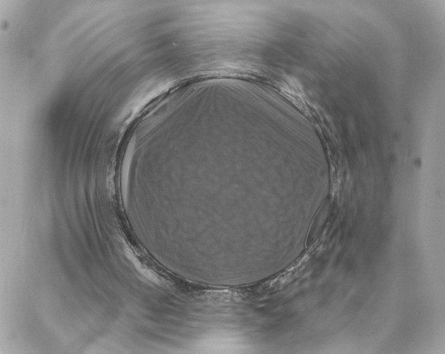 X0000088200050200706051242
