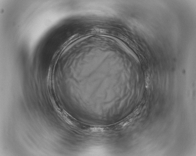 X0000088200052200706051242