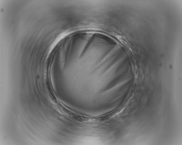 X0000088200056200706051242