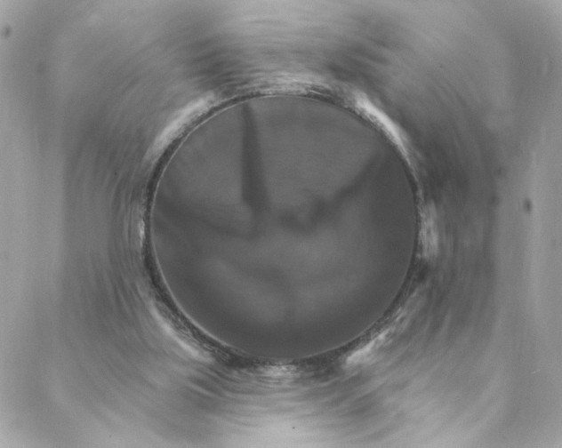 X0000088200059200706051242