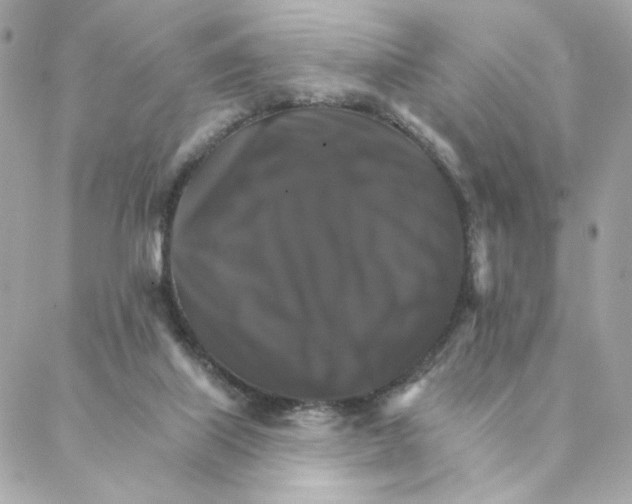 X0000088200067200706051242