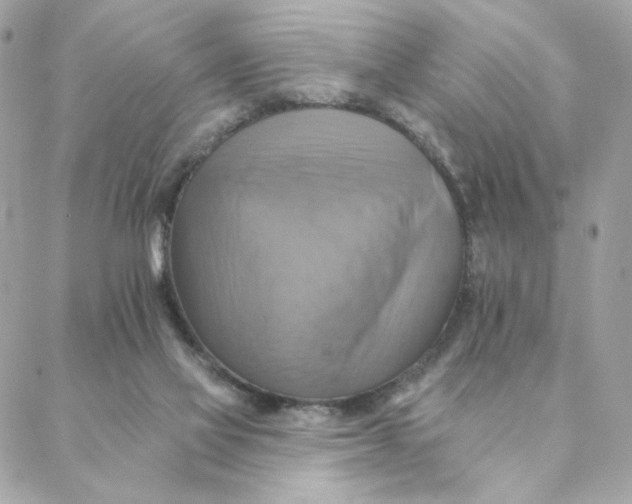 X0000088200069200706051242