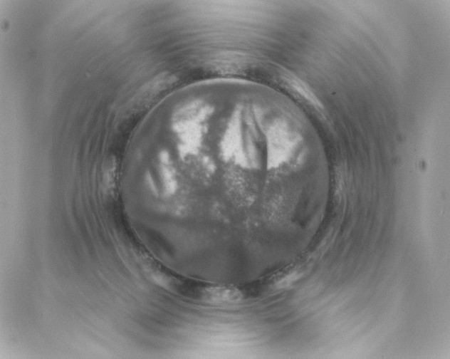 X0000088200073200706051242