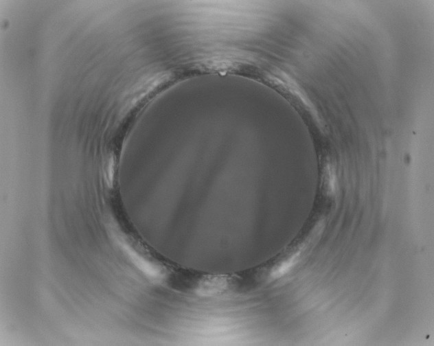 X0000088200076200706051242