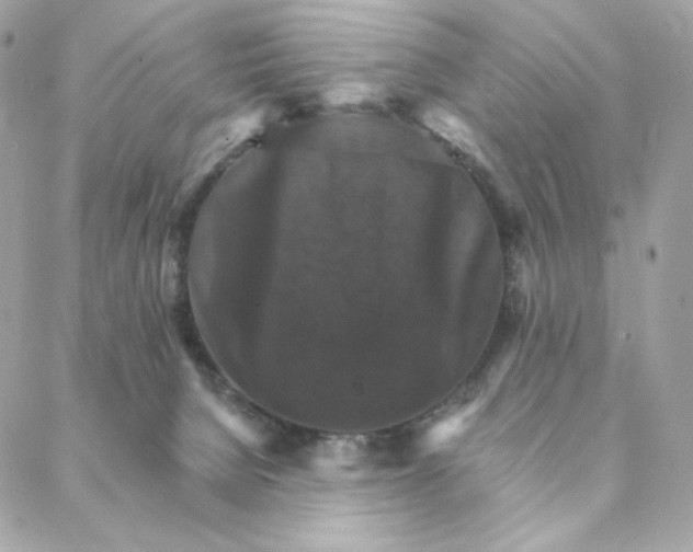 X0000088200080200706051242