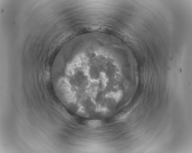 X0000088200085200706051242
