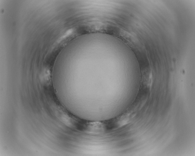 X0000088200087200706051242