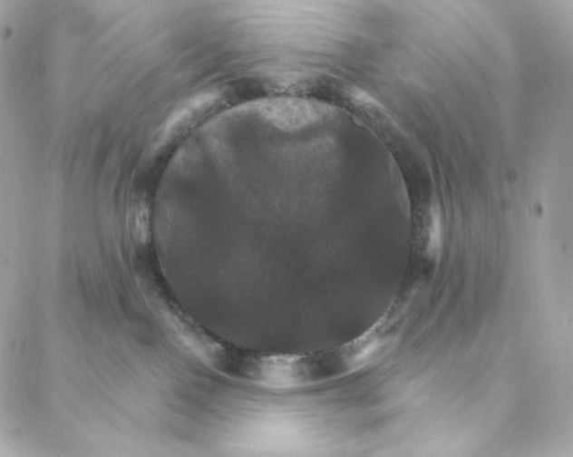 X0000088200090200706051242