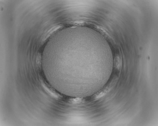 X0000088200092200706051243
