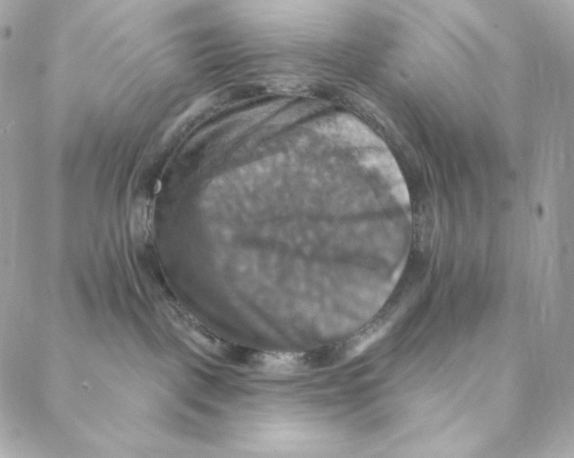 X0000088200093200706051243