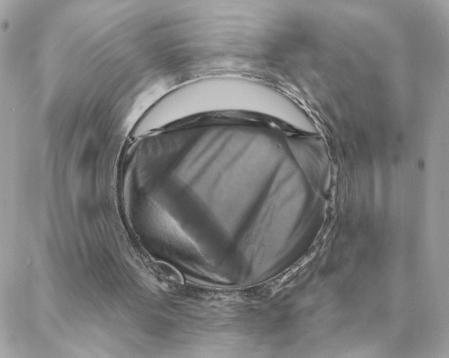 X0000088200099200706051242