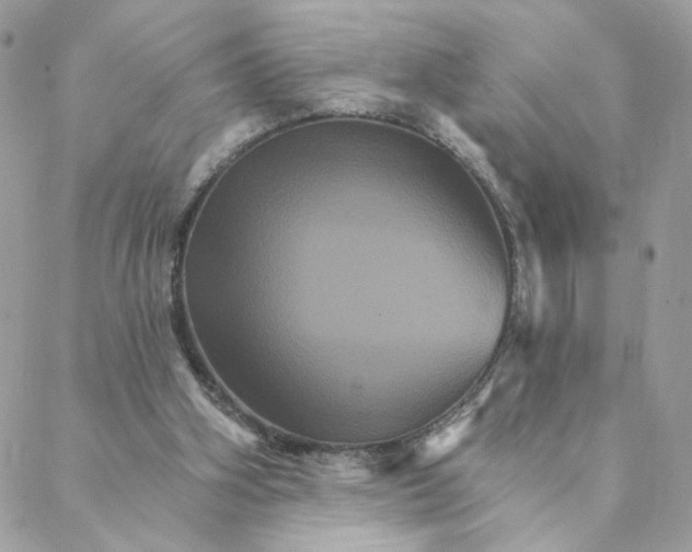 X0000088200106200706051242