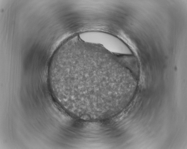X0000088200107200706051242
