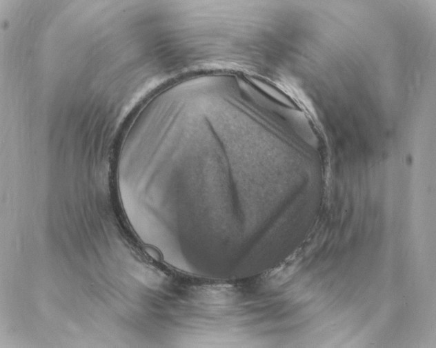 X0000088200108200706051242