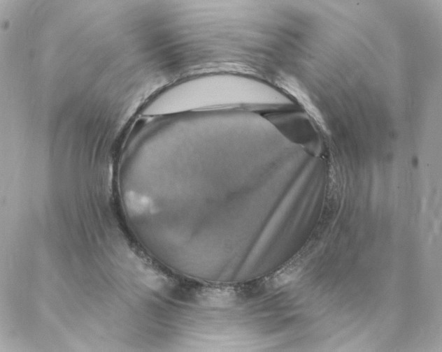 X0000088200110200706051242