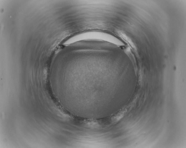 X0000088200113200706051242