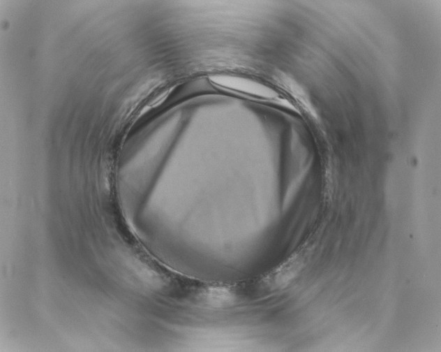 X0000088200114200706051242